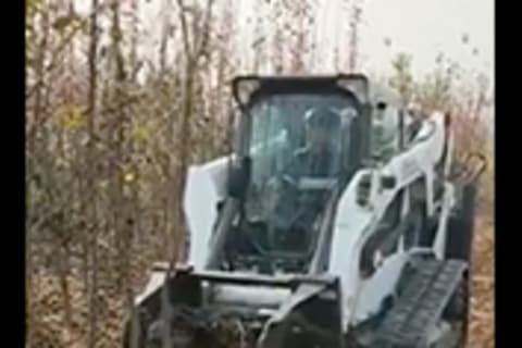 Bobcat Compact Track Loader with Digger attachment planting a tree.